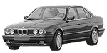BMW E34 P3545 Fault Code